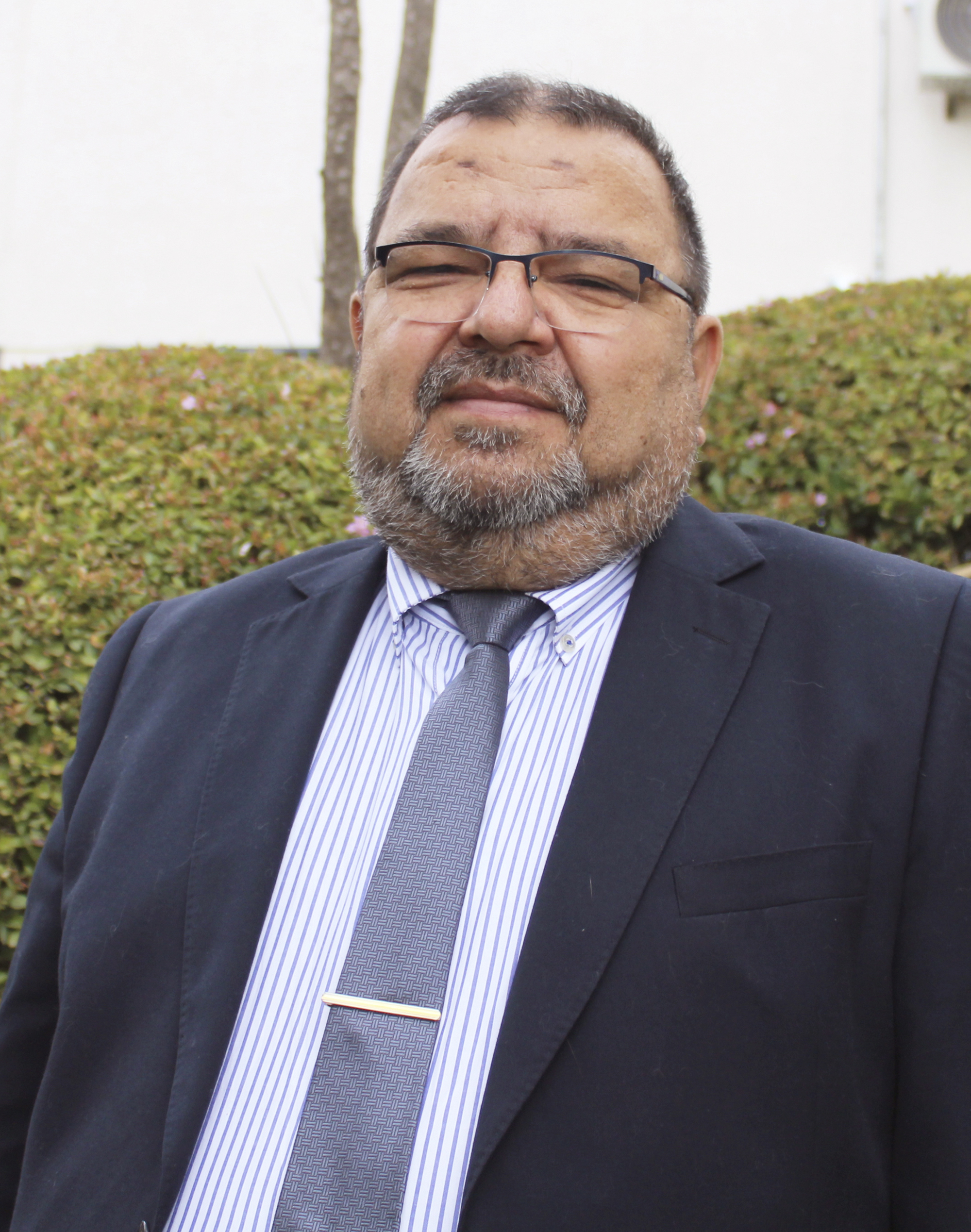 Ricardo Eliecer Castillo Salazar - Encargado de Proyectos